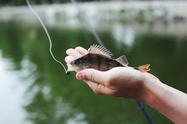 Tiny fresh caught fish in hand against lake