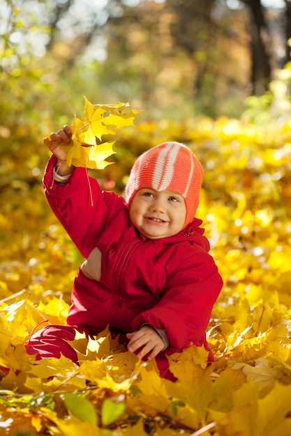 Toddler sitting on maple leaves