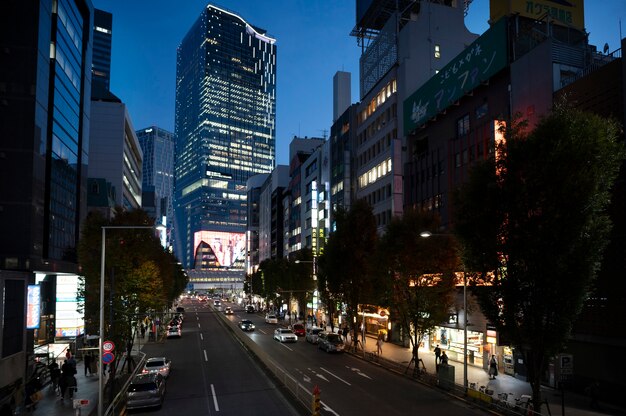 Tokyo cityscape in daytime