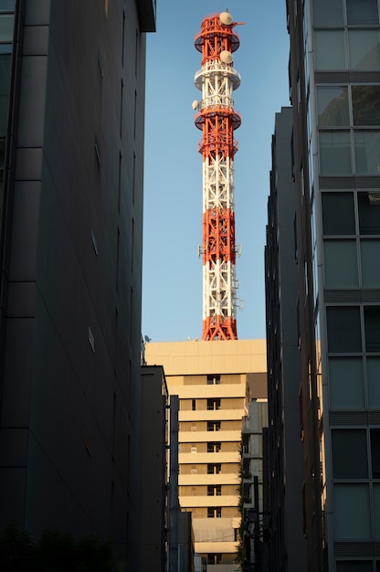 無料写真 昼間の東京の街並み