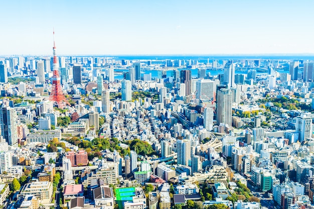 도쿄 도시 풍경 스카이 라인