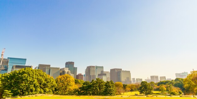 Tokyo, Japan cityscape