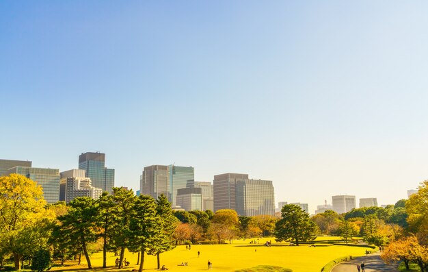 일본 도쿄 도시 풍경