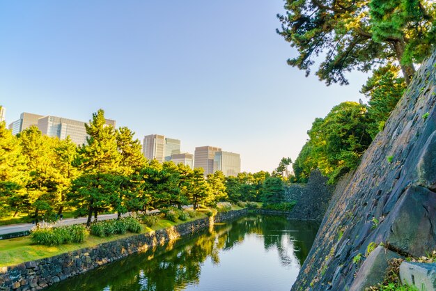 일본 도쿄 도시 풍경