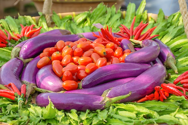 토마토, 가지 자주색, 날개 달린 콩, 붉은 고추 태국의 원생 식물