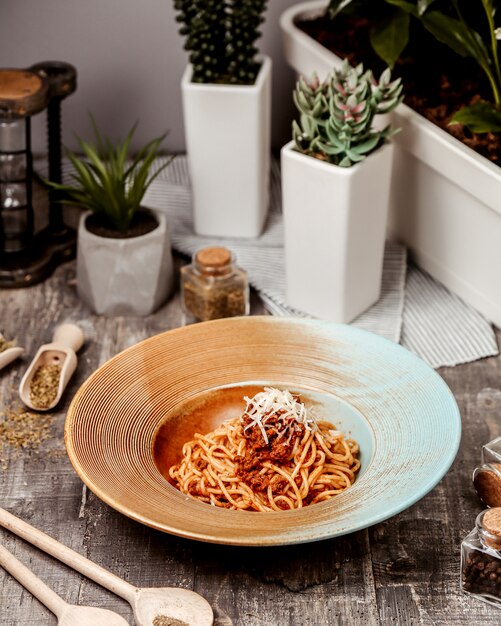 Tomato spaghetti with chopped meat