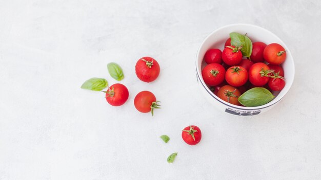 Tomatoes and basil leaves on white backdrop