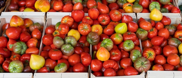 Foto gratuita bancarella di pomodori nel mercato di sanarysurmer