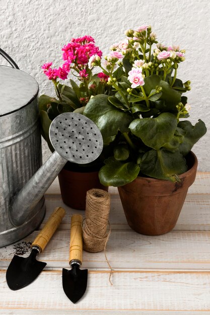 Tools and flower pots