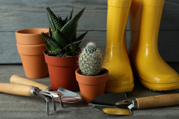 Tools for gardening against gray wooden background