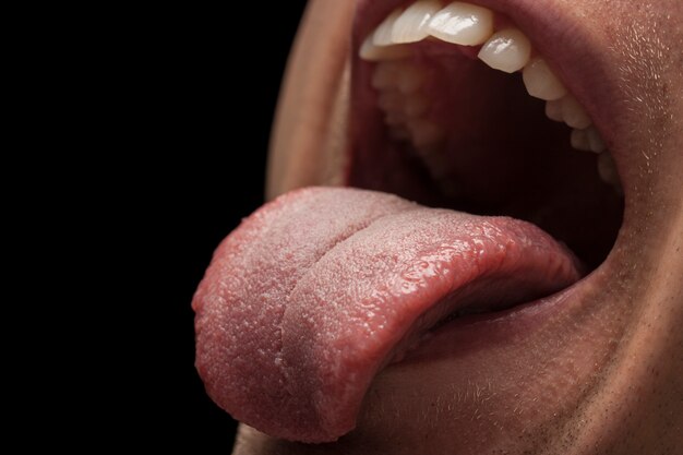 tooth dentist people health food