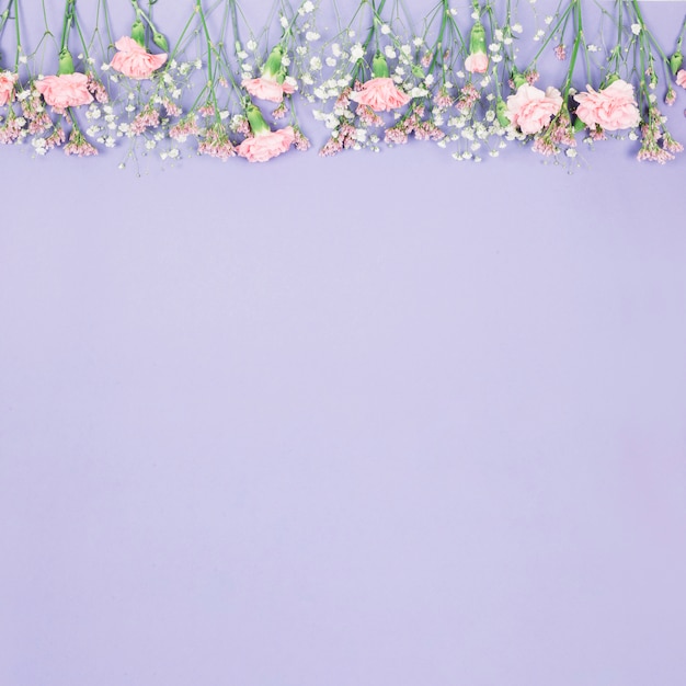 Top border decorated with limonium; gypsophila and carnations flowers on purple backdrop