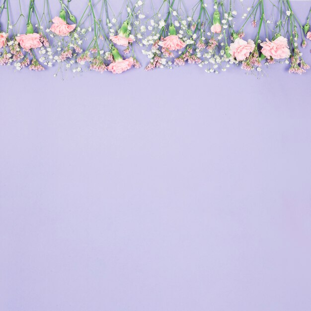 Верхняя граница украшена лимониумом; Гипсофила и гвоздики цветы на фиолетовом фоне