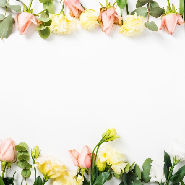 Top and bottom border made with flowers on white background