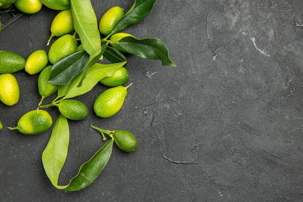 Top close-up view fruits citrus fruits with leaves on the dark table