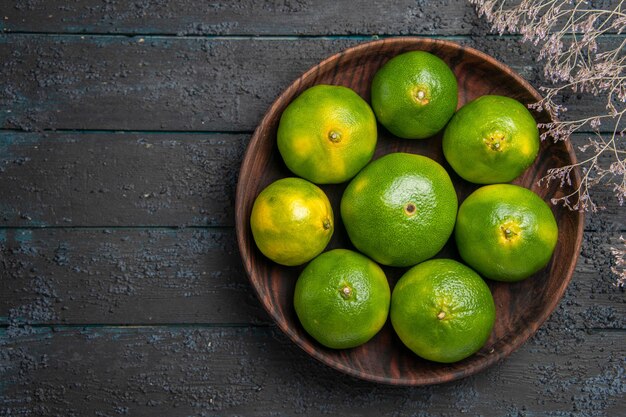 Top close-up view plate of limes plate of appetizing limes on table next to the branches