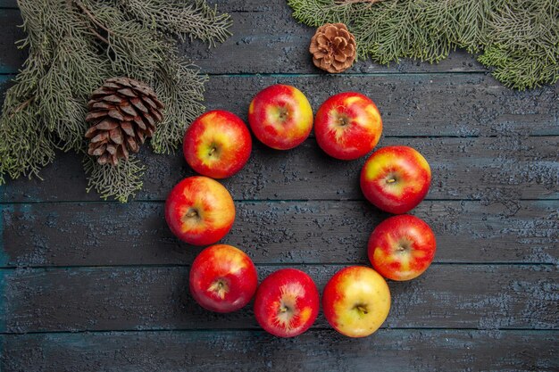 Top close view apples branches cones nine apples laid out in a circle between branches with cones