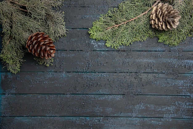 Free photo top close view branches spruce branches with two cones on the grey table