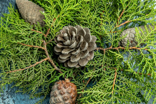 Top close view closed and open pinecones pine branches on grey surface