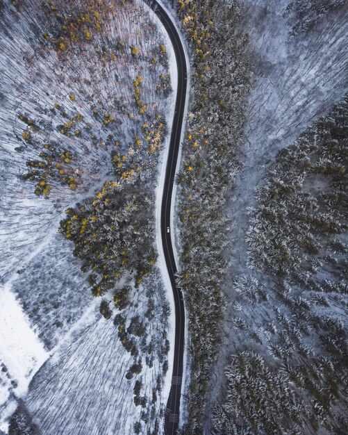 Top down aerial shot of a long road in the middle of trees and snow