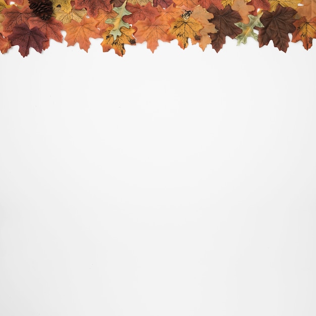 Top frame designed of autumn leaves