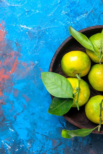 Top half view yellow tangerines with leaves in wooden bowl on blue isolated background free space