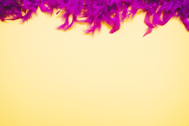 Top purple feathers border on yellow background with copy space for writing the text