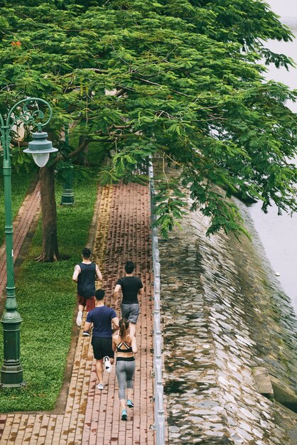 Top rear view of four people jogging in the park on the bank of a river