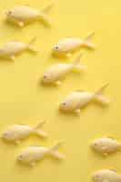 Free photo top view 3d golden fish in studio