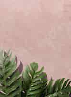 Бесплатное фото Вид сверху 3d композиция из зеленых пальмовых листьев