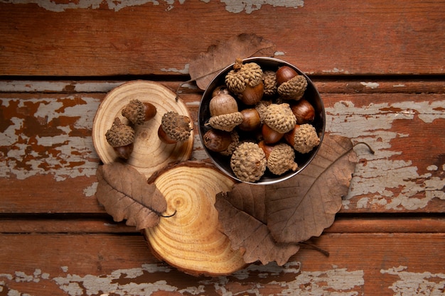 Top view acorns still life