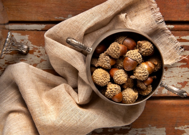 Top view acorns still life