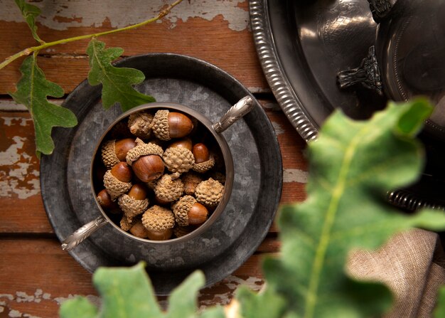 Free photo top view acorns still life