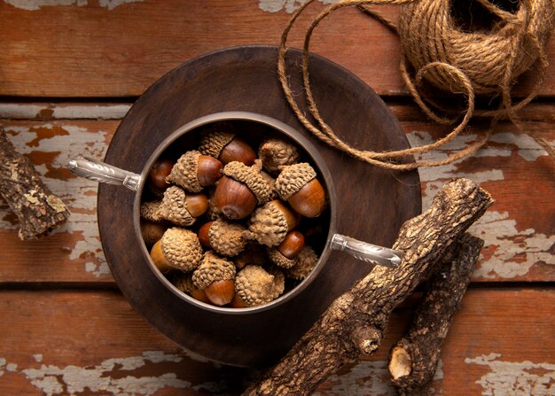 Top view acorns still life