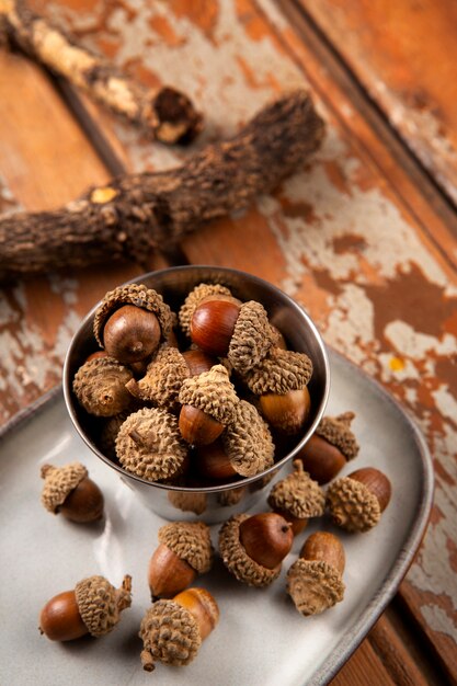 Top view acorns still life