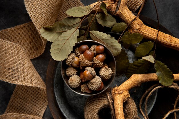 Top view acorns still life