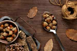 Free photo top view acorns still life