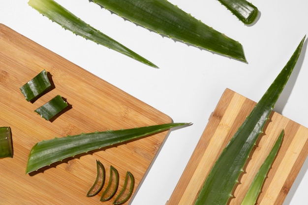 Foto gratuita vista dall'alto del concetto di bellezza di aloe vera