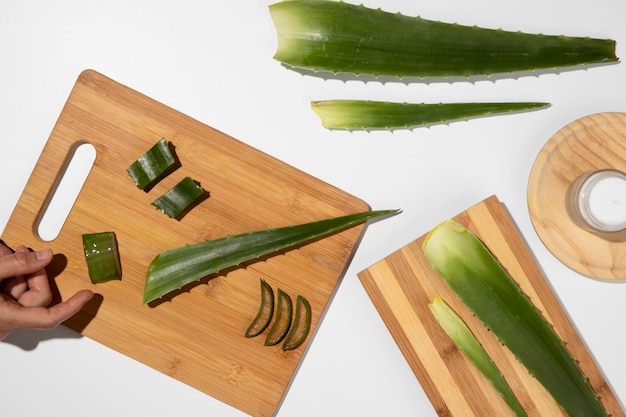 Foto gratuita vista dall'alto del concetto di bellezza di aloe vera