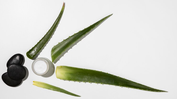 Free Photo top view of aloe vera beauty concept