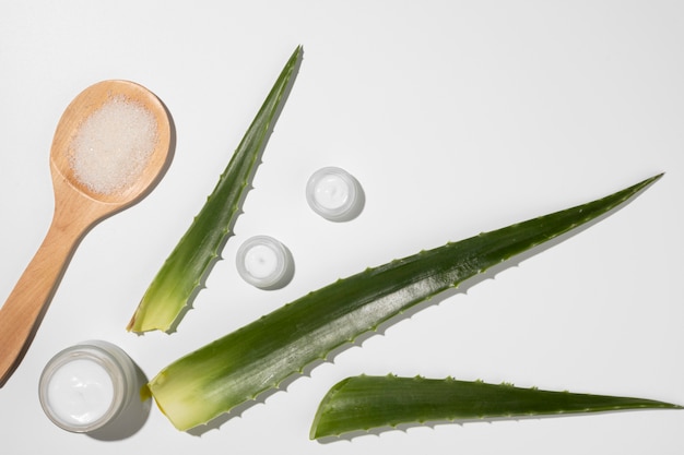 Foto gratuita vista dall'alto del concetto di bellezza di aloe vera