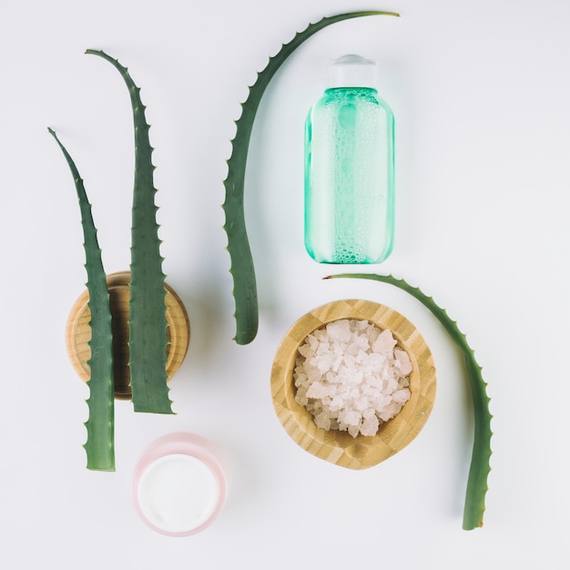 Foto gratuita vista dall'alto aloe vera con strumenti di bellezza e cosmetici