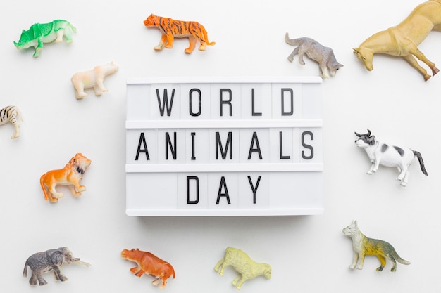 Free photo top view of animal figurines with light box for animal day