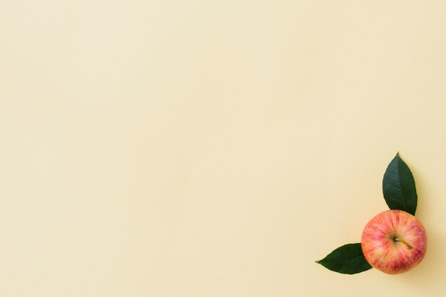 모서리에 나뭇잎과 상위 뷰 애플