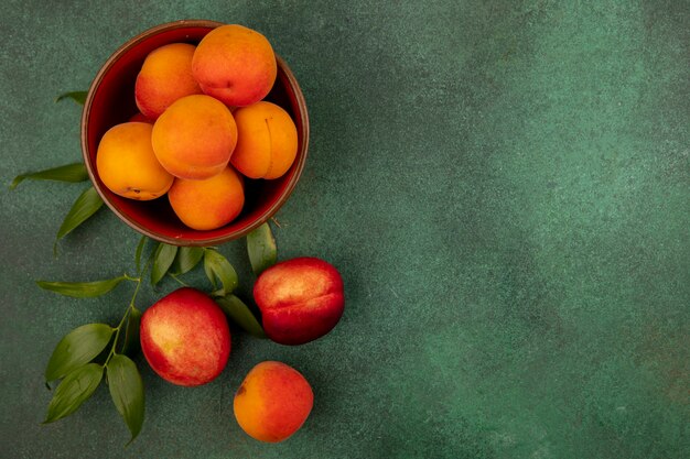 Top view of apricots in bowl with peaches and leaves on green background with copy space