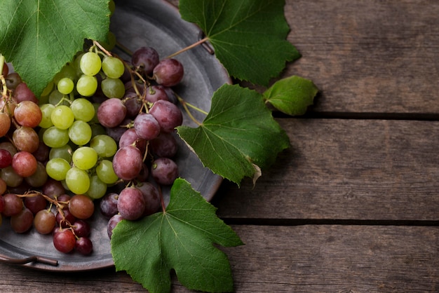 Top view arrangement of autumn fruits