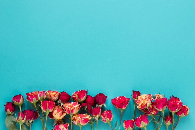 Top view arrangement of carnation flowers with copy space