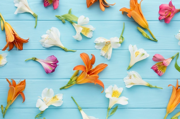 Foto gratuita disposizione vista dall'alto di colorati alstroemeria e gigli