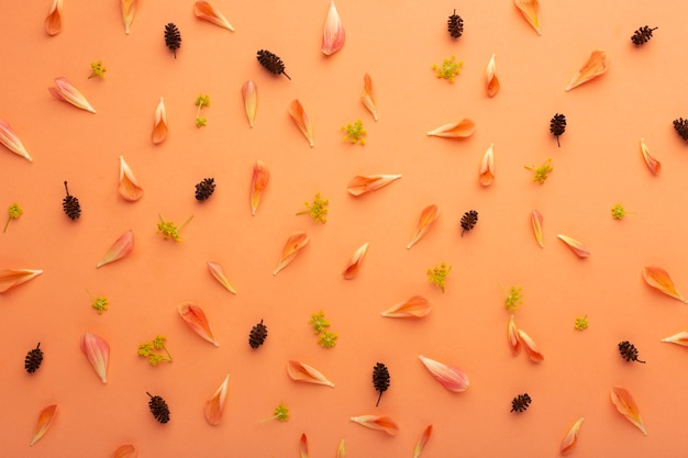 Top view arrangement of flowers petals