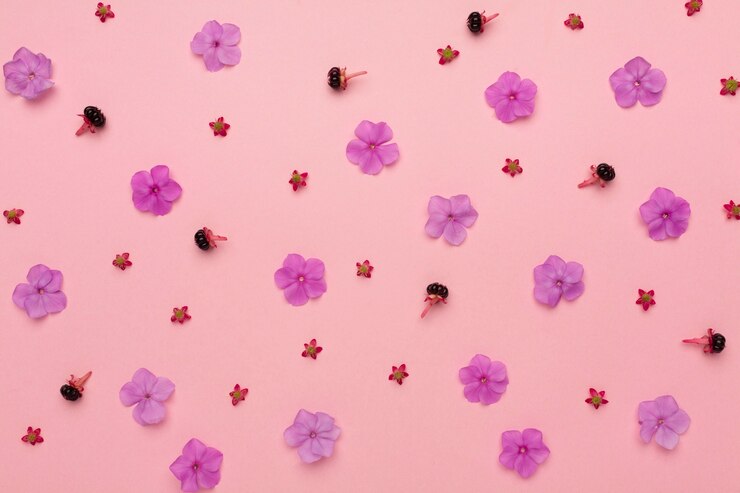 Free Photo top view arrangement of flowers